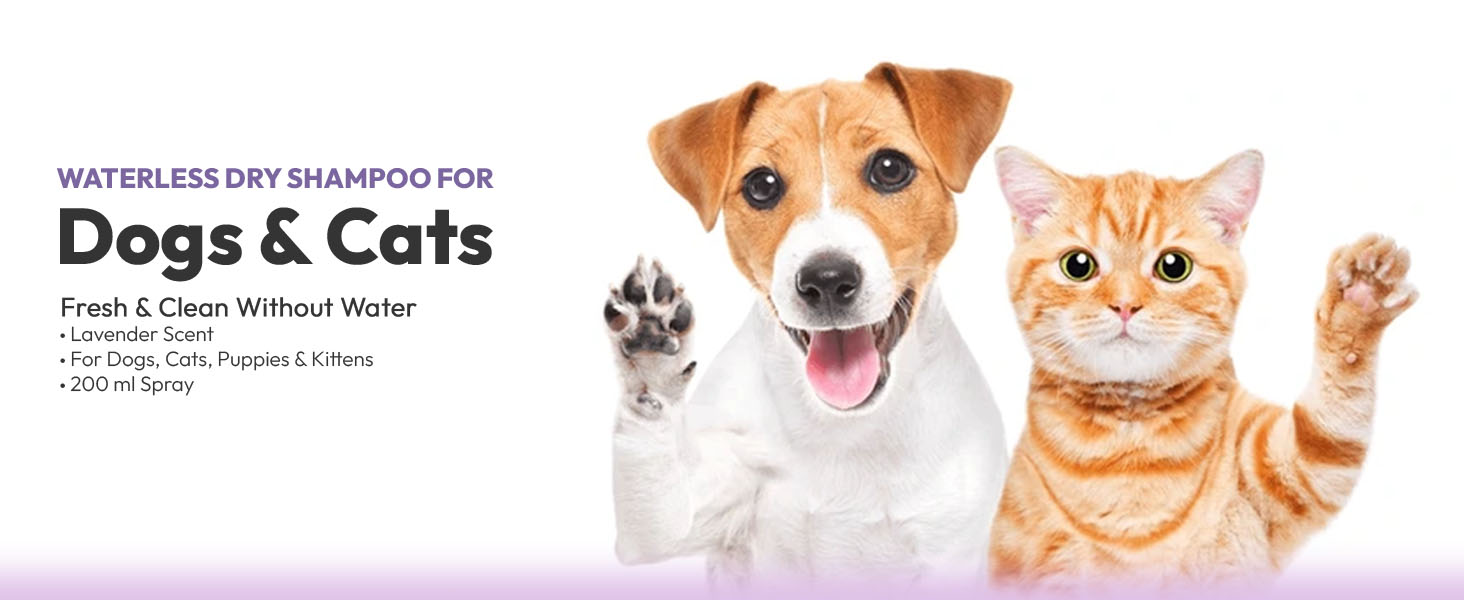 Caredom Dry Shampoo for Dogs & Cats | Waterless Dog Shampoo Spray with Lavender | Dry Bath for Cats | Fresh & Clean for Pets | Wash Grooming Spray (200 ml)