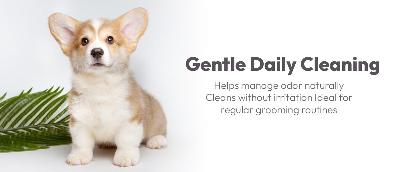 Caredom Dry Shampoo for Dogs & Cats | Waterless Dog Shampoo Spray with Lavender | Dry Bath for Cats | Fresh & Clean for Pets | Wash Grooming Spray (200 ml)