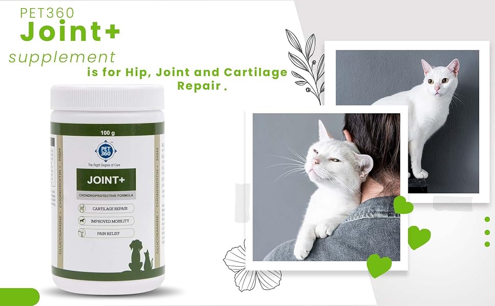 PET360 Joint+ Chondroprotective Formula - 100 gm | Hip, Joints, Cartilage Supplement for Dogs & Cats for Improved Mobility & Pain Relief with Glucosamine, Chondroitin, MSM | Suitable for All Breeds