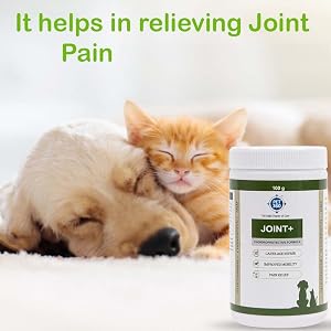 PET360 Joint+ Chondroprotective Formula - 100 gm | Hip, Joints, Cartilage Supplement for Dogs & Cats for Improved Mobility & Pain Relief with Glucosamine, Chondroitin, MSM | Suitable for All Breeds