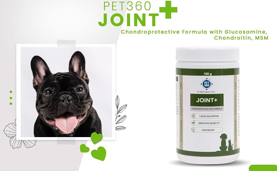 PET360 Joint+ Chondroprotective Formula - 100 gm | Hip, Joints, Cartilage Supplement for Dogs & Cats for Improved Mobility & Pain Relief with Glucosamine, Chondroitin, MSM | Suitable for All Breeds