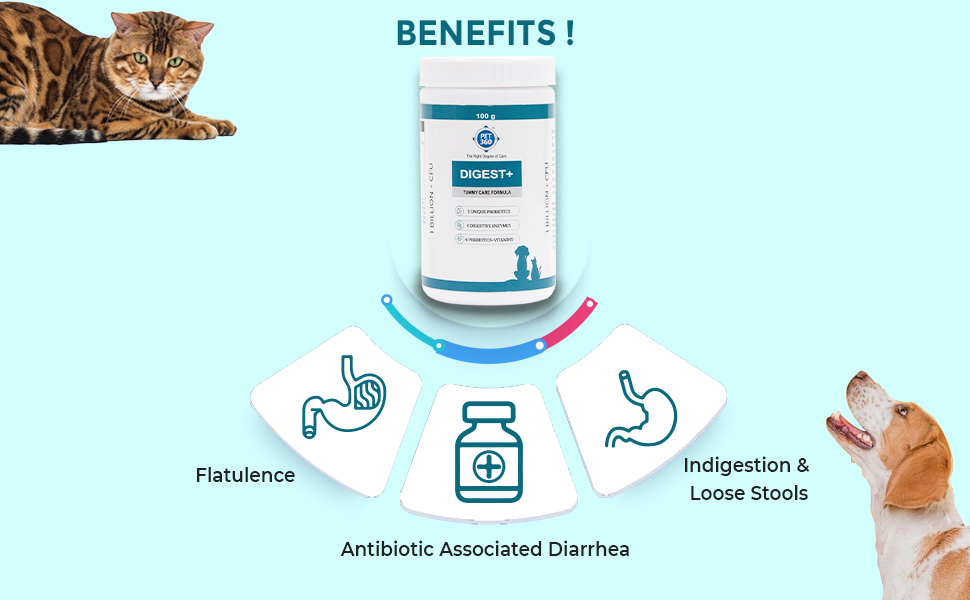 PET360 Digest+ | Tummy Care Formula for Healthy Digestion | Reduces Paw Licking & Scratching | Increased Immunity | Suitable for All Breeds| 100gm Powder