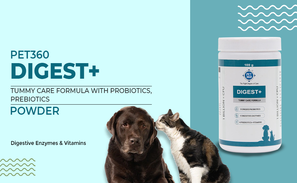 PET360 Digest+ | Tummy Care Formula for Healthy Digestion | Reduces Paw Licking & Scratching | Increased Immunity | Suitable for All Breeds| 100gm Powder