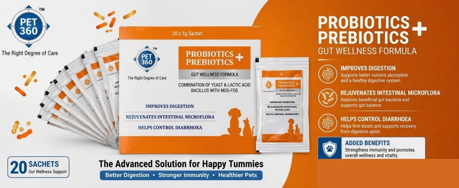 PET360 PROBIOTICS + PREBIOTICS Gut Wellness Formula for Dogs & Cats | Probiotic Supplement | Prevents Diarrhea & Indigestion | Cat & Dog Gut Health Supplement for Improved Immunity - 20 Sachets