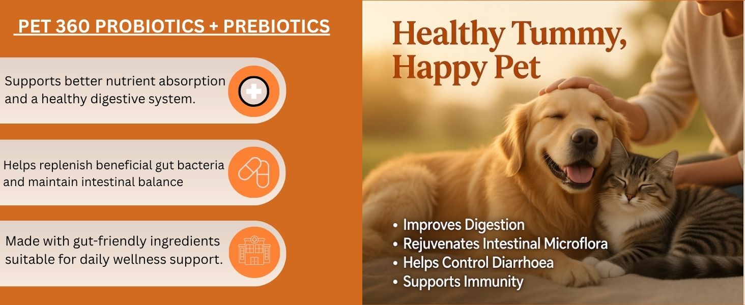 PET360 PROBIOTICS + PREBIOTICS Gut Wellness Formula for Dogs & Cats | Probiotic Supplement | Prevents Diarrhea & Indigestion | Cat & Dog Gut Health Supplement for Improved Immunity - 20 Sachets