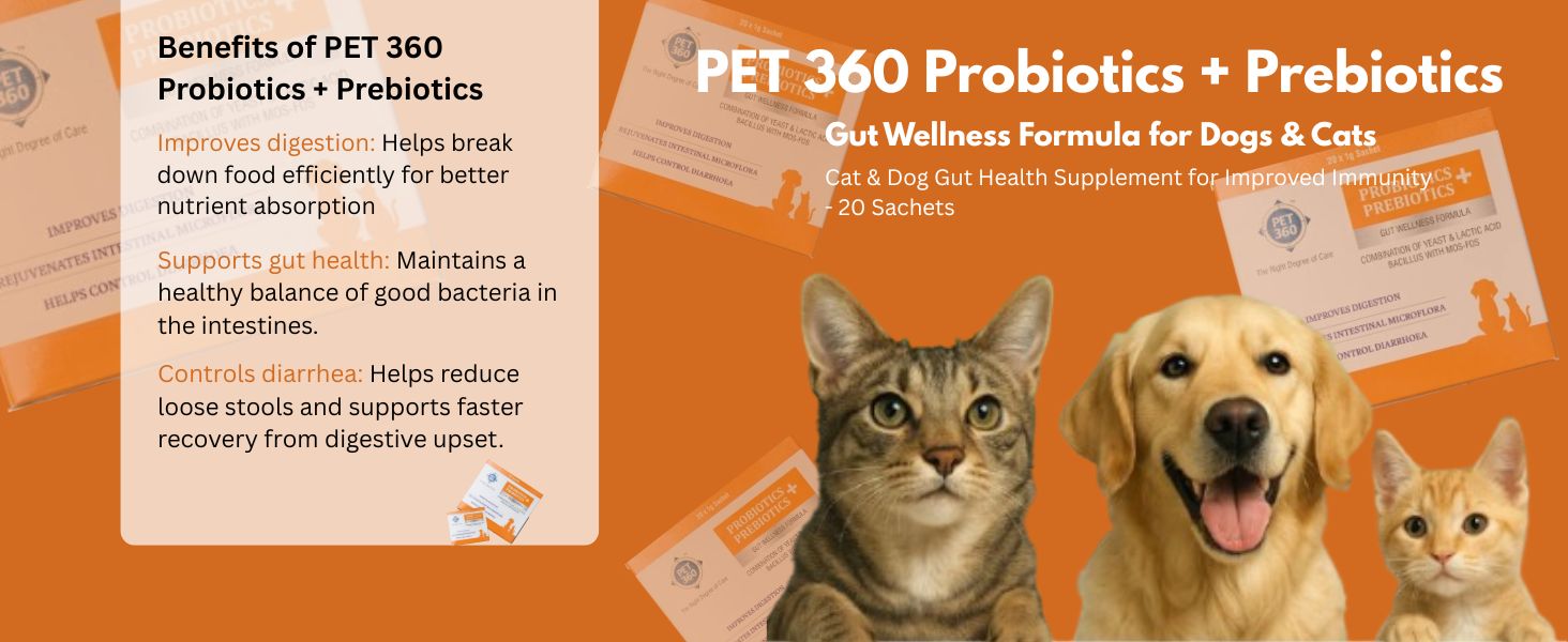 PET360 PROBIOTICS + PREBIOTICS Gut Wellness Formula for Dogs & Cats | Probiotic Supplement | Prevents Diarrhea & Indigestion | Cat & Dog Gut Health Supplement for Improved Immunity - 20 Sachets