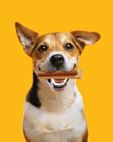 Pedigree Dentastix Oral Care Dog Treat, Adult Small Breed (5-10 kg), 440 g, Recommended by Vets, Supports Gum Health, Reduces Risk of Gum diseases