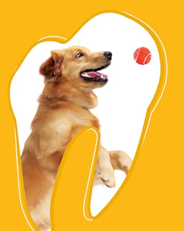 Pedigree Dentastix Oral Care Dog Treat, Adult Small Breed (5-10 kg), 440 g, Recommended by Vets, Supports Gum Health, Reduces Risk of Gum diseases