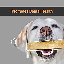 Yakies by HUFT Vegetarian Natural Dog Chew Bone – 25 gm Each | Pack of 3, Small Size Healthy Long-Lasting Chew | High Protein Gluten Free Treat for Small Dogs