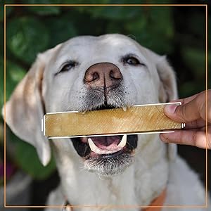 Yakies by HUFT Vegetarian Natural Dog Chew Bone – 25 gm Each | Pack of 3, Small Size Healthy Long-Lasting Chew | High Protein Gluten Free Treat for Small Dogs