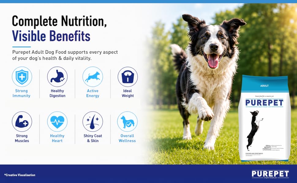 Purepet Adult Dry Dog Food 1kg | Chicken & Vegetable Flavour | Hairball Protection | Heart Care with Taurine | Skin Health