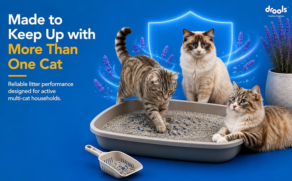 Drools Cat Litter for Multiple Breeds 5kg | Lavender | Pet & People Friendly | Long Lasting | Super Absorbent