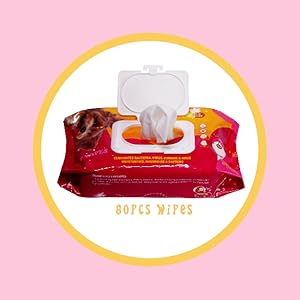 PETS EMPIRE Pet Wet Wipes, 160 Count Anti-Bacterial Cat & Dog Wipe, Soft Pet Moist Tissue Towelettes, Grooming Daily Care Wet Wipes for Dogs, Pups, Cats - Pack of 2 (15X20 cm)