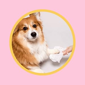 PETS EMPIRE Pet Wet Wipes, 160 Count Anti-Bacterial Cat & Dog Wipe, Soft Pet Moist Tissue Towelettes, Grooming Daily Care Wet Wipes for Dogs, Pups, Cats - Pack of 2 (15X20 cm)