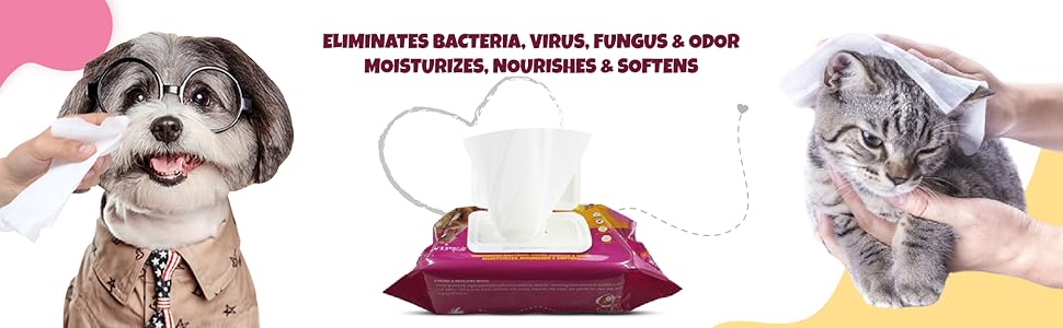 PETS EMPIRE Pet Wet Wipes, 160 Count Anti-Bacterial Cat & Dog Wipe, Soft Pet Moist Tissue Towelettes, Grooming Daily Care Wet Wipes for Dogs, Pups, Cats - Pack of 2 (15X20 cm)
