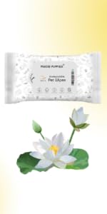 Foodie Puppies Anti-Bacterial 200 Pulls Pet Wet Wipes (Fresh Apple) - 100 Wipes (Pack of 2) | Grooming Wipes for Dogs, Puppies, Cats, Rabbits & Small Animals | SLS Free, Paraben Free & Cruelty Free
