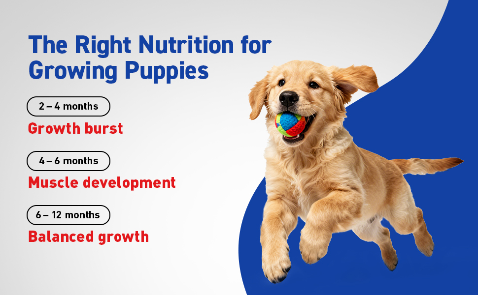 Drools Puppy Dry Dog Food 1.2Kg Pack | Chicken and Egg Flavour | Optimal Growth | Healthy Coat & Skin | Strong Immune System | Enhanced Palatability