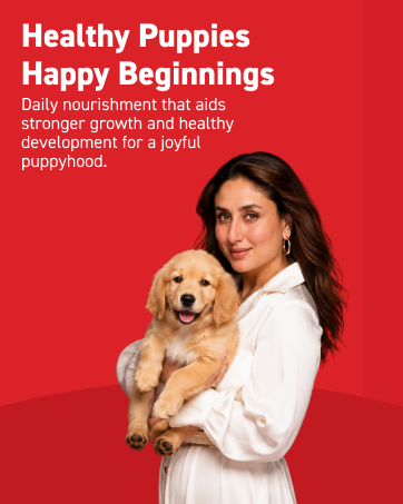 Drools Puppy Dry Dog Food 1.2Kg Pack | Chicken and Egg Flavour | Optimal Growth | Healthy Coat & Skin | Strong Immune System | Enhanced Palatability