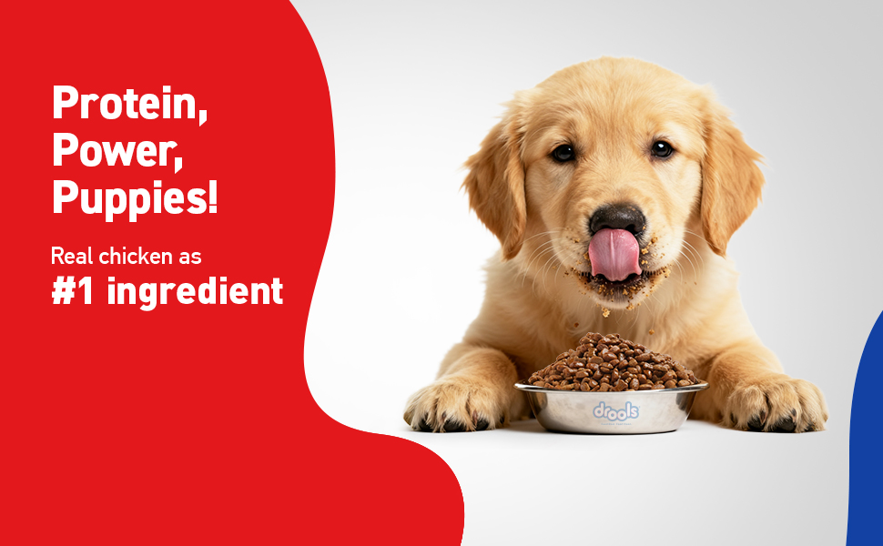 Drools Puppy Dry Dog Food 1.2Kg Pack | Chicken and Egg Flavour | Optimal Growth | Healthy Coat & Skin | Strong Immune System | Enhanced Palatability