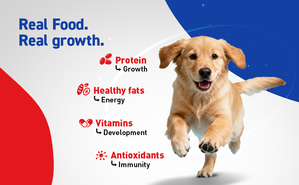 Drools Puppy Dry Dog Food 1.2Kg Pack | Chicken and Egg Flavour | Optimal Growth | Healthy Coat & Skin | Strong Immune System | Enhanced Palatability
