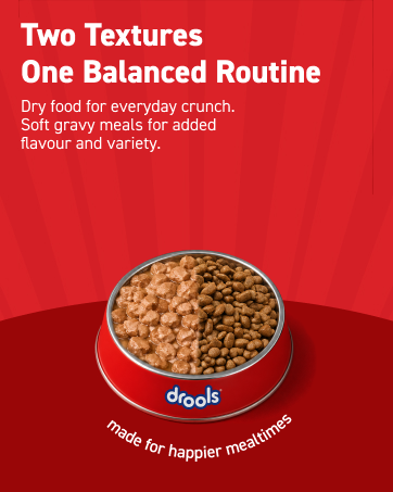 Drools Puppy Dry Dog Food 1.2Kg Pack | Chicken and Egg Flavour | Optimal Growth | Healthy Coat & Skin | Strong Immune System | Enhanced Palatability