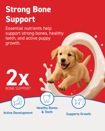 Drools Puppy Dry Dog Food 1.2Kg Pack | Chicken and Egg Flavour | Optimal Growth | Healthy Coat & Skin | Strong Immune System | Enhanced Palatability