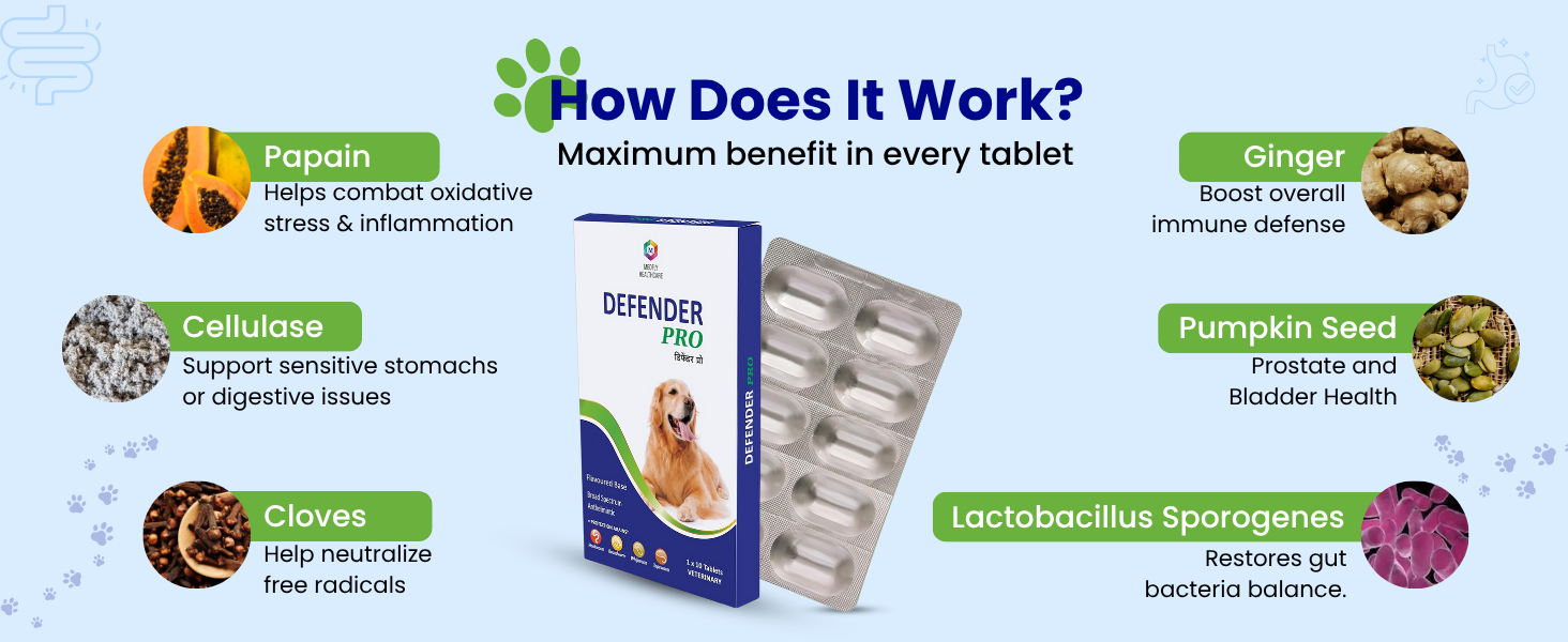 Medfly Healthcare Defender Pro Deworming Tablet for Dogs of All Life Stages (Pack of 1) | Natural & Herbal Ingredients | Effective Formula to Kill & Expel Parasites | 10 Tablets Per Pack