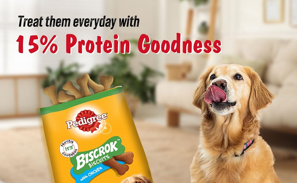 Pedigree Biscrok Biscuits (Above 4 Months) Dog Treats, Chicken Flavour, 900 g, Source of Calcium, Goodness of 15% Protein