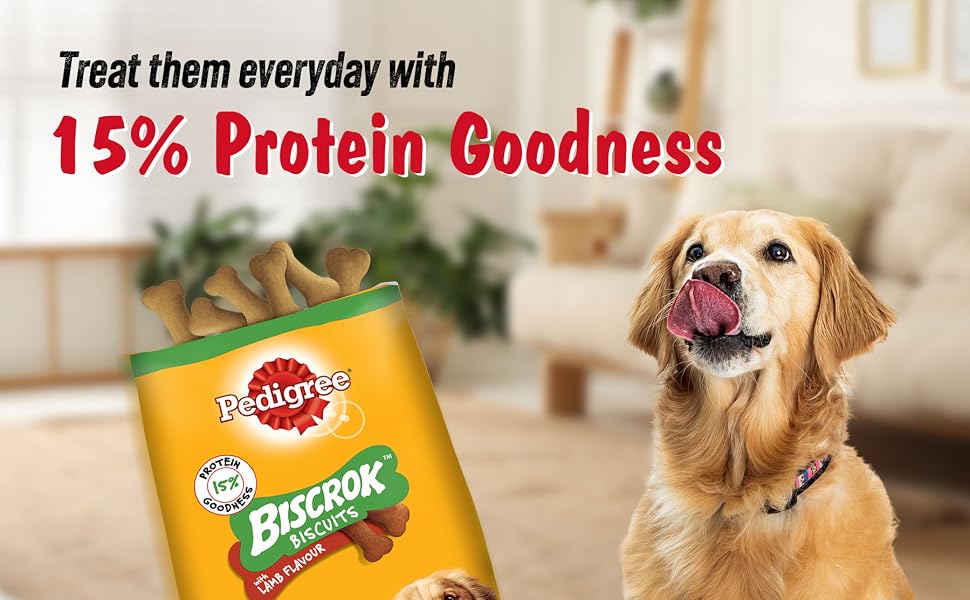 Pedigree Biscrok Biscuits (Above 4 Months) Dog Treats, Lamb Flavour, 500 g, Source of Calcium, Goodness of 15% Protein