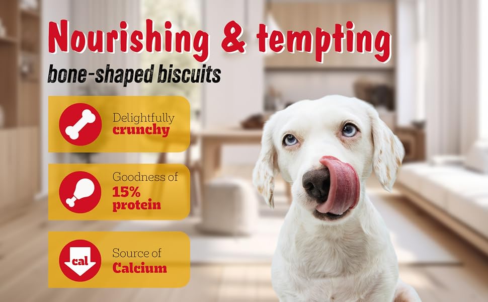 Pedigree Biscrok Biscuits (Above 4 Months) Dog Treats, Lamb Flavour, 500 g, Source of Calcium, Goodness of 15% Protein