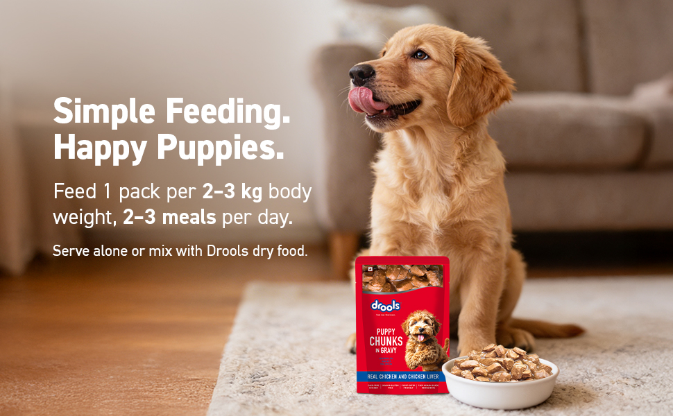 Drools Puppy Wet Dog Food 0.9kg (150g x 6 Packs) | Real Chicken & Chicken Liver Chunks in Gravy | Better Digestibility & Overall Health | Supports Healthy Skin & Coat | Maintains Joint Health