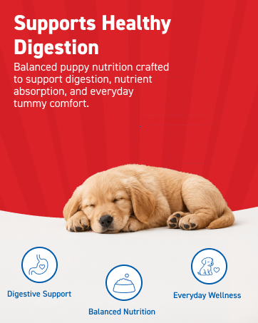 Drools Puppy Wet Dog Food 0.9kg (150g x 6 Packs) | Real Chicken & Chicken Liver Chunks in Gravy | Better Digestibility & Overall Health | Supports Healthy Skin & Coat | Maintains Joint Health