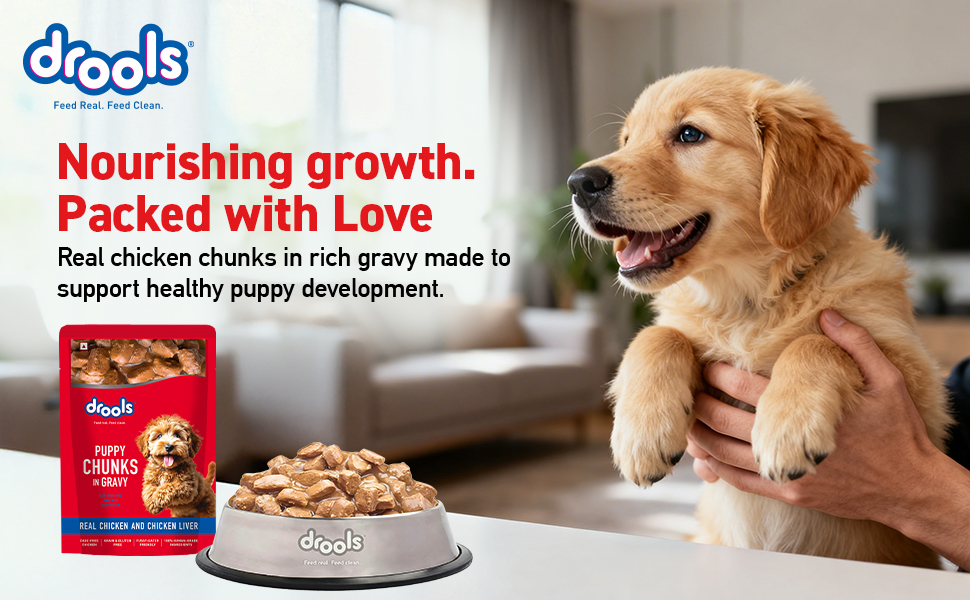 Drools Puppy Wet Dog Food 0.9kg (150g x 6 Packs) | Real Chicken & Chicken Liver Chunks in Gravy | Better Digestibility & Overall Health | Supports Healthy Skin & Coat | Maintains Joint Health