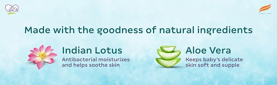 Himalaya Gentle Baby Wipes, 72 Wipes,White