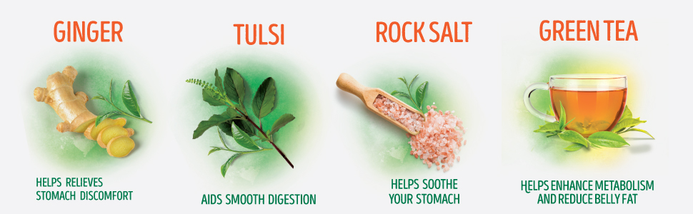 Lipton SipNDigest With Green Tea | Ginger, Tulsi, Rock Salt | 10 Spiced Green Tea Bags Unique
