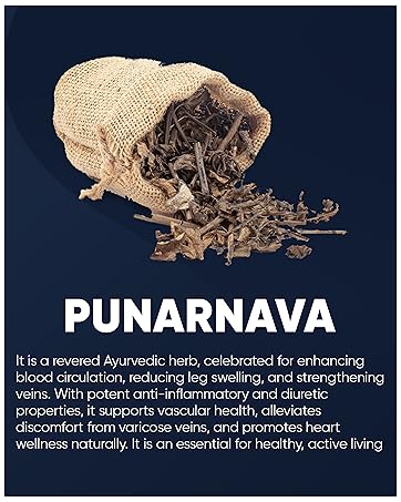 PENIKOSETE Advanced Ayurvedic Vein Support Formula | Reduce Varicose Veins, Boost Circulation and Leg Comfort with this Vascular Supplement.
