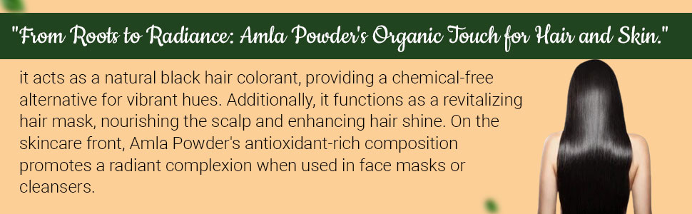 Florecer Amla Powder For Hair | Skin Care | Organic | Indian Gooseberry Powder | Hair Colour Black| Hair Mask-100 Gram
