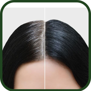 Florecer Amla Powder For Hair | Skin Care | Organic | Indian Gooseberry Powder | Hair Colour Black| Hair Mask-100 Gram