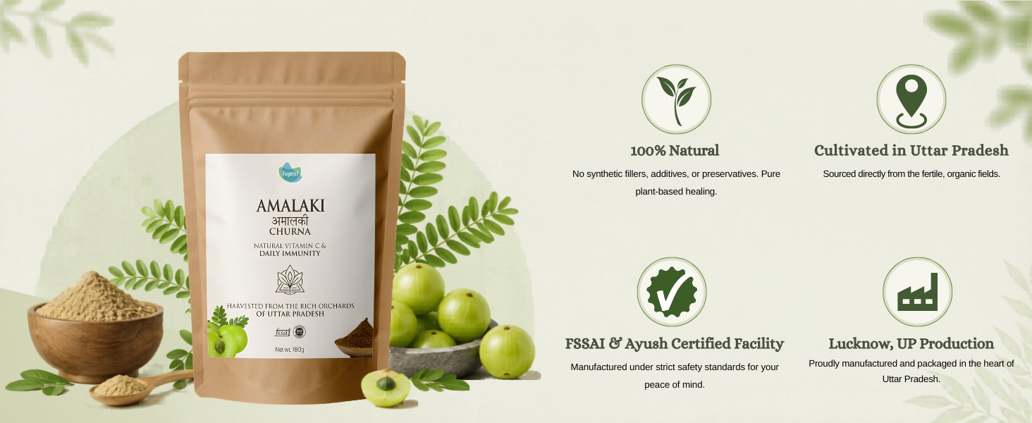 Vegetal Amalaki Churna 180g | Amla Powder from Uttar Pradesh Orchards | Natural Vitamin C, Immunity, Hair & Skin | 3rd Party Lab-Tested | FSSAI & AYUSH | 100% Pure