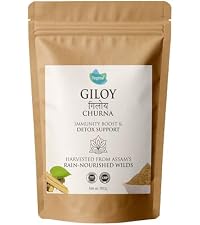 Vegetal Amalaki Churna 180g | Amla Powder from Uttar Pradesh Orchards | Natural Vitamin C, Immunity, Hair & Skin | 3rd Party Lab-Tested | FSSAI & AYUSH | 100% Pure