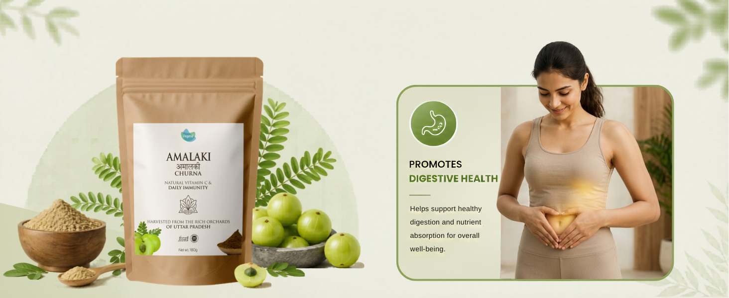 Vegetal Amalaki Churna 180g | Amla Powder from Uttar Pradesh Orchards | Natural Vitamin C, Immunity, Hair & Skin | 3rd Party Lab-Tested | FSSAI & AYUSH | 100% Pure