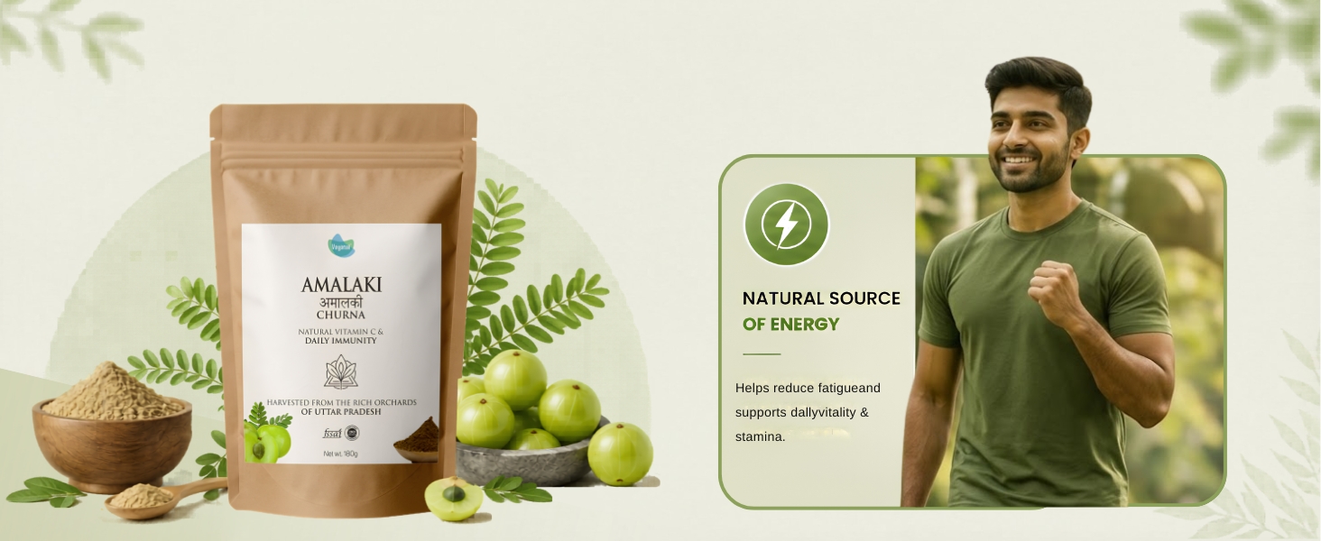 Vegetal Amalaki Churna 180g | Amla Powder from Uttar Pradesh Orchards | Natural Vitamin C, Immunity, Hair & Skin | 3rd Party Lab-Tested | FSSAI & AYUSH | 100% Pure