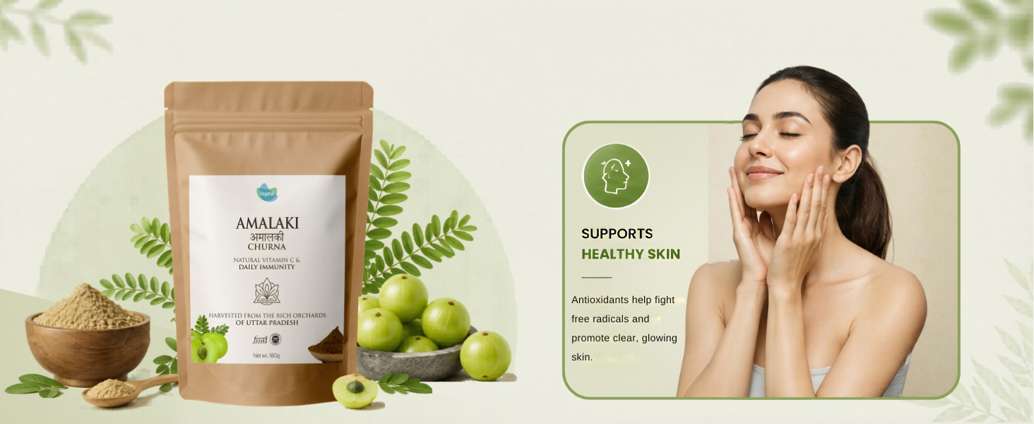 Vegetal Amalaki Churna 180g | Amla Powder from Uttar Pradesh Orchards | Natural Vitamin C, Immunity, Hair & Skin | 3rd Party Lab-Tested | FSSAI & AYUSH | 100% Pure