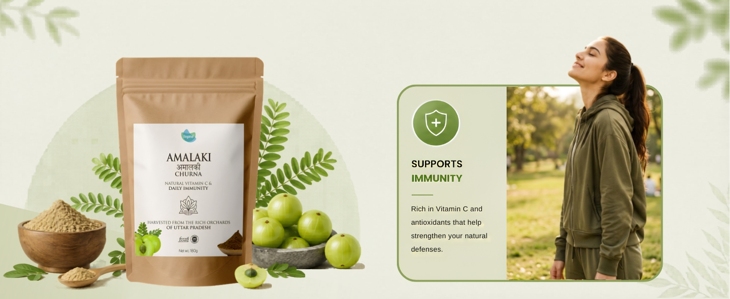 Vegetal Amalaki Churna 180g | Amla Powder from Uttar Pradesh Orchards | Natural Vitamin C, Immunity, Hair & Skin | 3rd Party Lab-Tested | FSSAI & AYUSH | 100% Pure