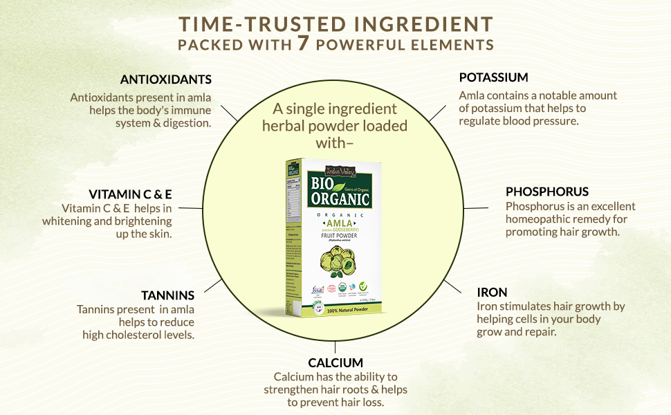 INDUS VALLEY Bio Organic 100% Natural Amla (Indian Gooseberry) Fruit Powder for Hair Growth, Skin Care, Drinking & Eating, Rich in Antioxidants – 100g