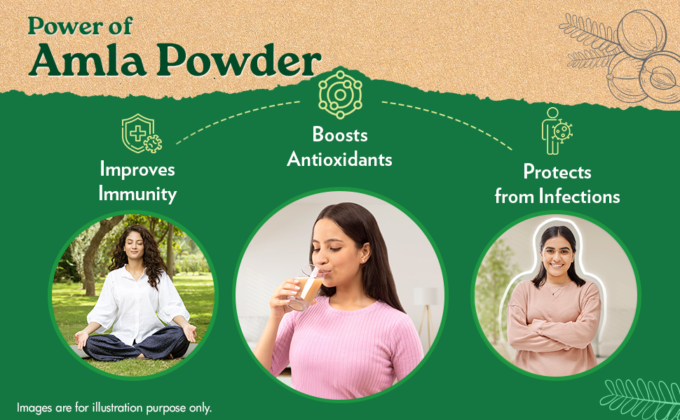 A TATA Product - Organic India Amla Powder, 200g, Whole Hera, Improves Immunity, Boosts Antioxidant, Certified Organic