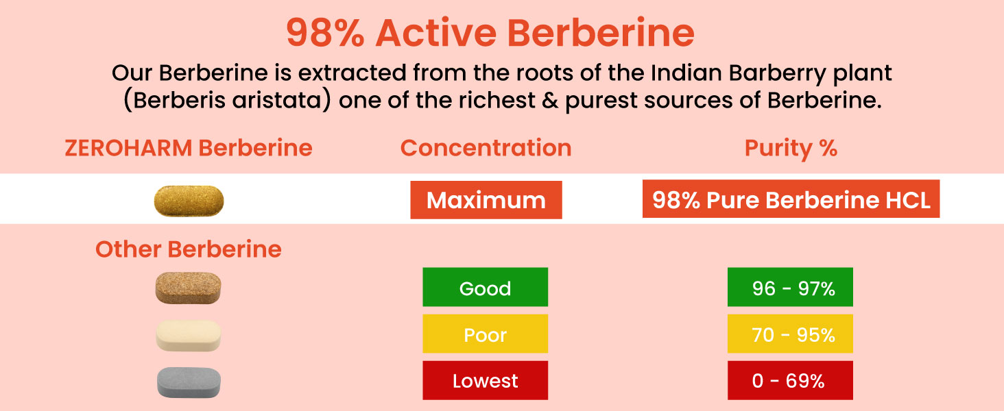 ZEROHARM Holistic Nano Berberine Supplement 98% Pure | Plant-based Berberine Tablets with 800mg per serving | Supports Blood Sugar, Metabolism, Cholesterol Levels & Hormonal Balance | 60 Tablets