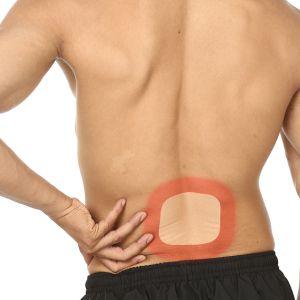 Viopatch Natural Herbal Instant Relief Patch for Muscular & Joint Pain, No Side Effects, 12 Patch 