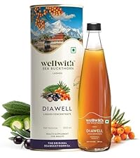 Ayuzera (Wellwith) Himalayan Sea Buckthorn Pulp Concentrate 300ml | Cold-Pressed | Makes 50 Glasses | Natural Vitamin C, Omega 3 6 7 9, Antioxidants | Immunity, Skin Glow & Gut Health Support | Juice Seabuckthorn