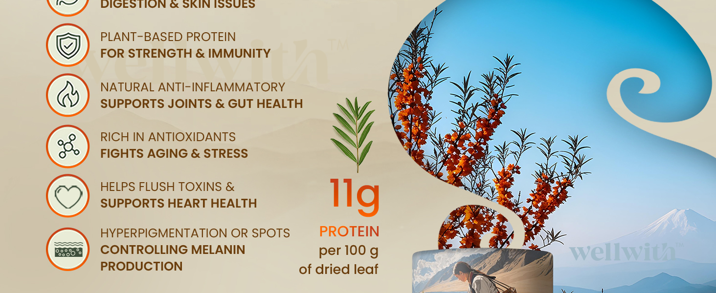 Wellwith (Ayuzera) Sea Buckthorn Raw Leaves Tea | Himalayan Herbal Leaf Tea | Good for Skin, Immunity & Detox | Pure & Natural | 50g (Pack of 1)